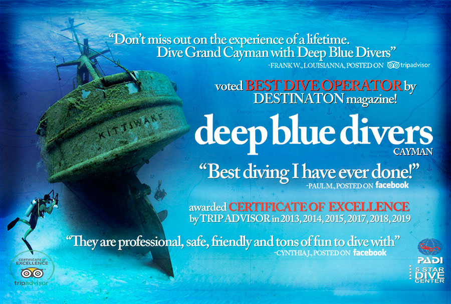 Deep Blue Divers Cayman